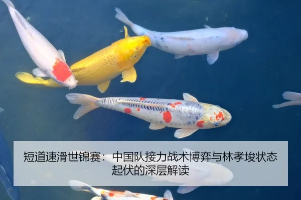 短道速滑世锦赛：中国队接力战术博弈与林孝埈状态起伏的深层解读