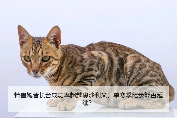 特鲁姆普长台成功率超越奥沙利文，单赛季纪录能否延续？